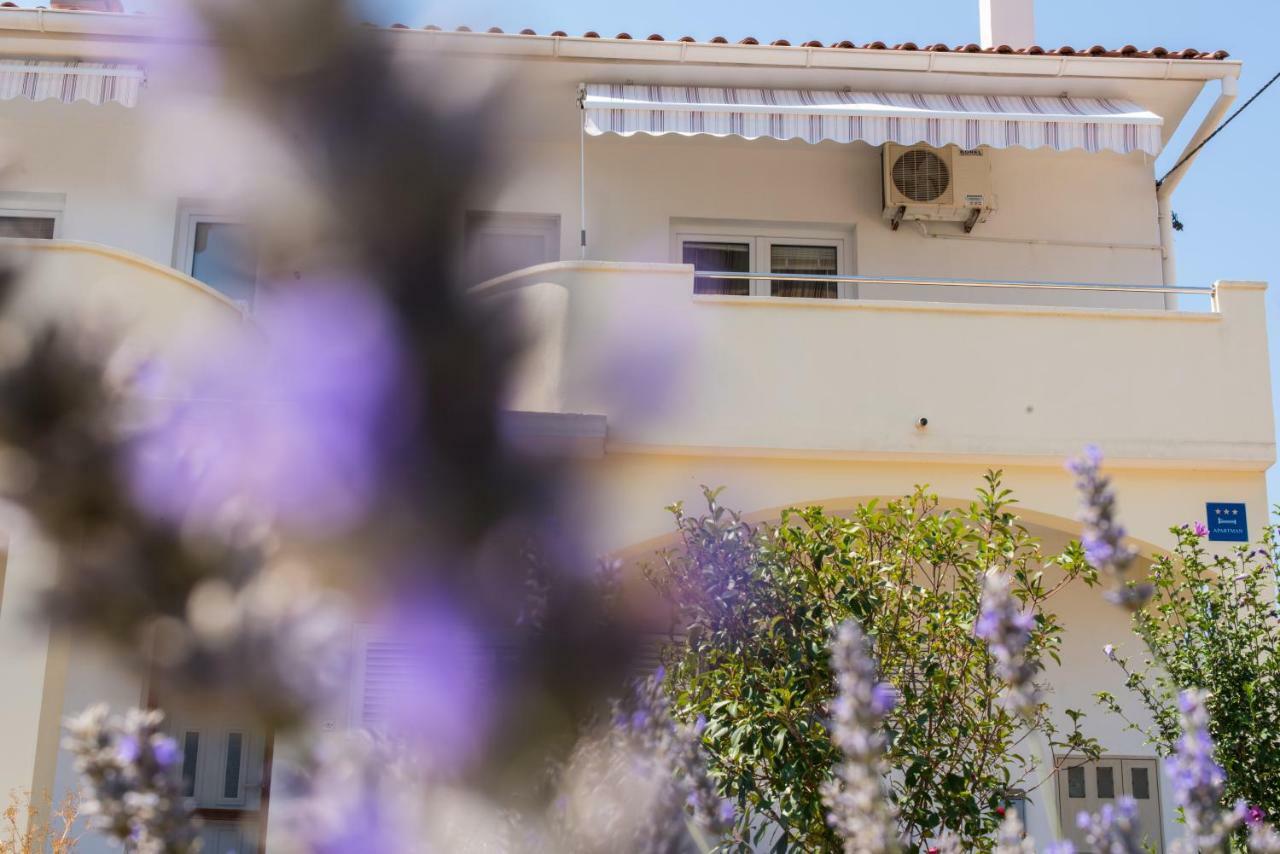 Apartments Maco Петрчане Экстерьер фото